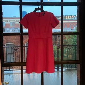 Professional magenta dress